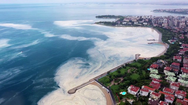 İSTANBUL - Caddebostan Sahili'nde müsilaj yoğunluğu arttı
