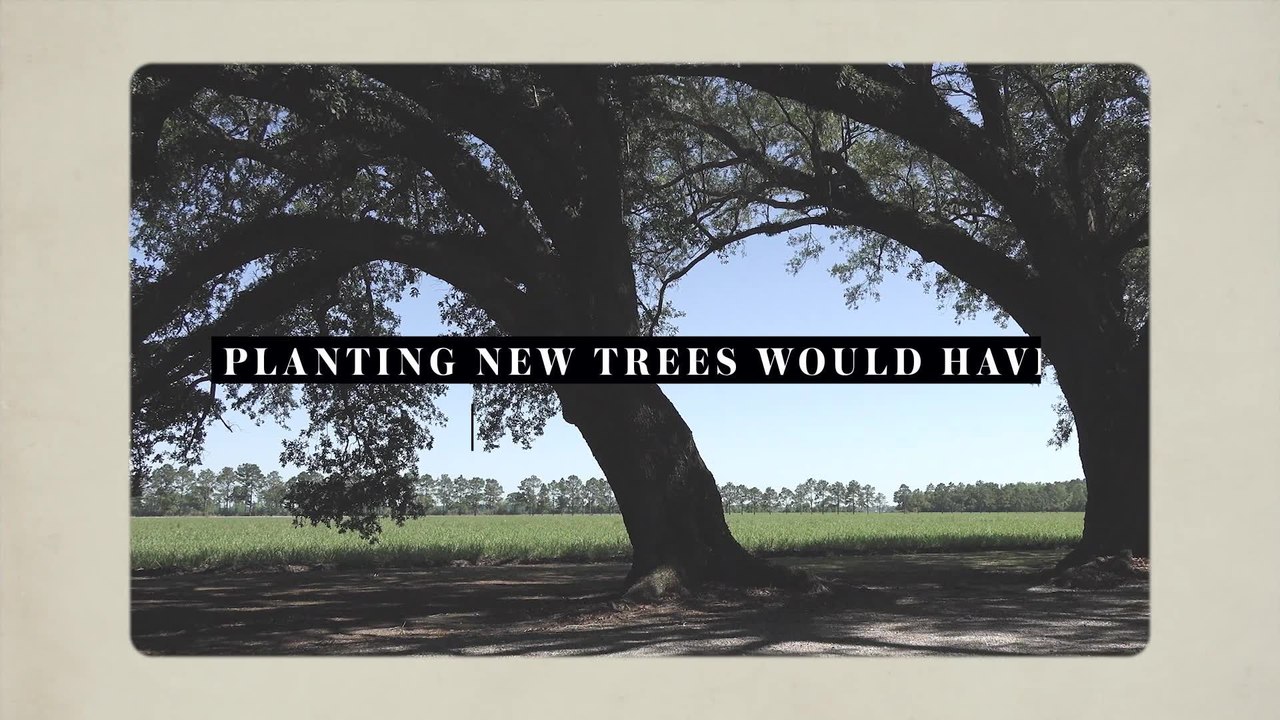 Oak Alley Plantation