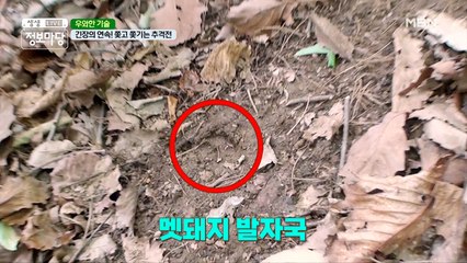 드러나는 발자국, 산속에 울려 퍼지는 총소리! 과연 멧돼지를 찾은 걸까?!