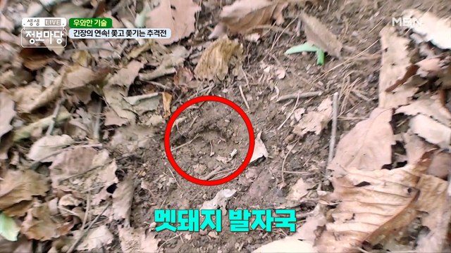 드러나는 발자국, 산속에 울려 퍼지는 총소리! 과연 멧돼지를 찾은 걸까?!