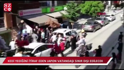 Kedi yediğini itiraf eden Japon vatandaşı sınır dışı edilecek