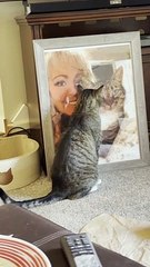 Grieving Cat Misses Her Dad