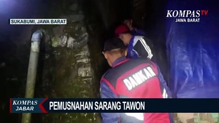 1 Tahun Hantui Warga, Sarang Tawon Dimusnahkan