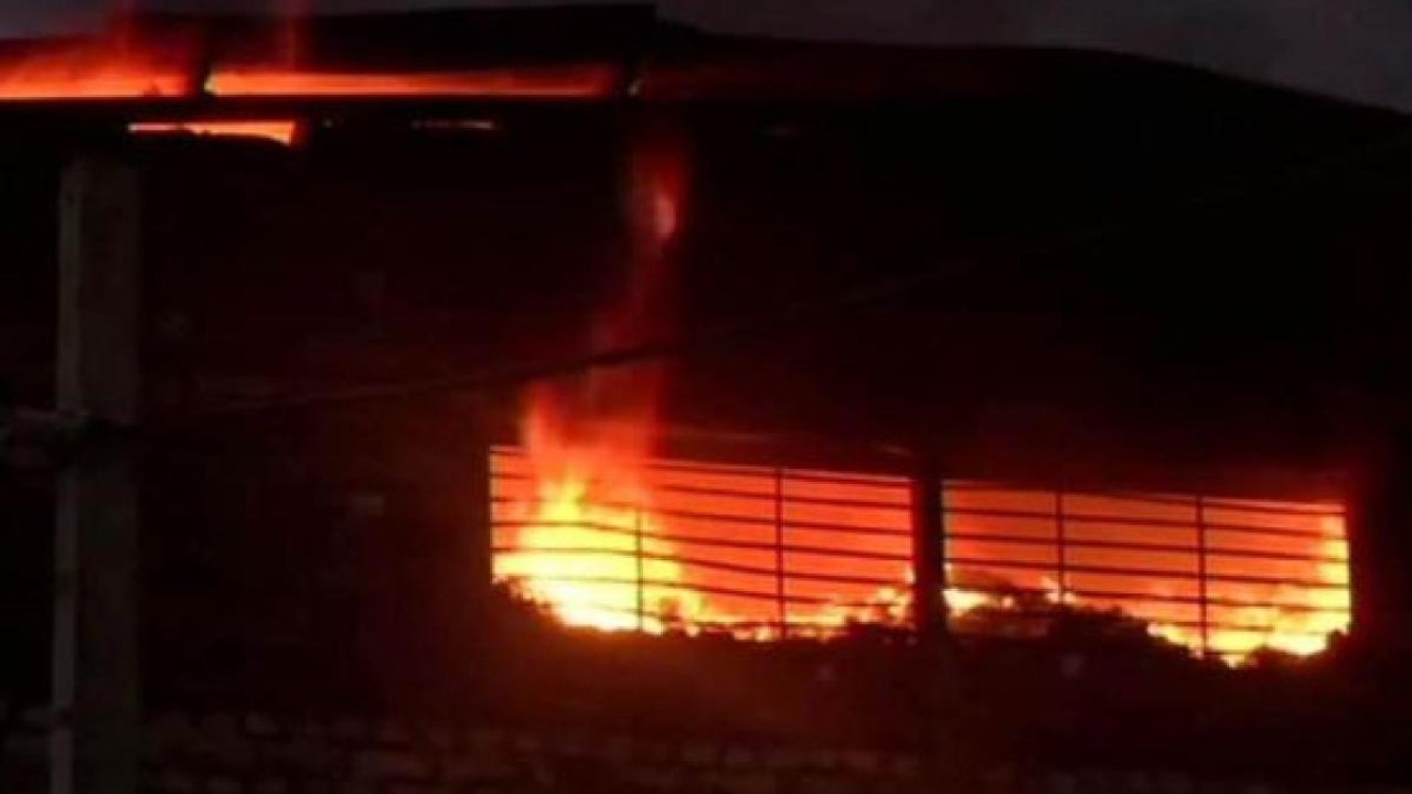 Fire breaks out in Kolkata godown, no casualty reported