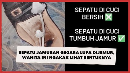 Kocak! Sepatu Jamuran Gegara Lupa Dijemur, Wanita Ini Ngakak Lihat Bentuk Jamurnya