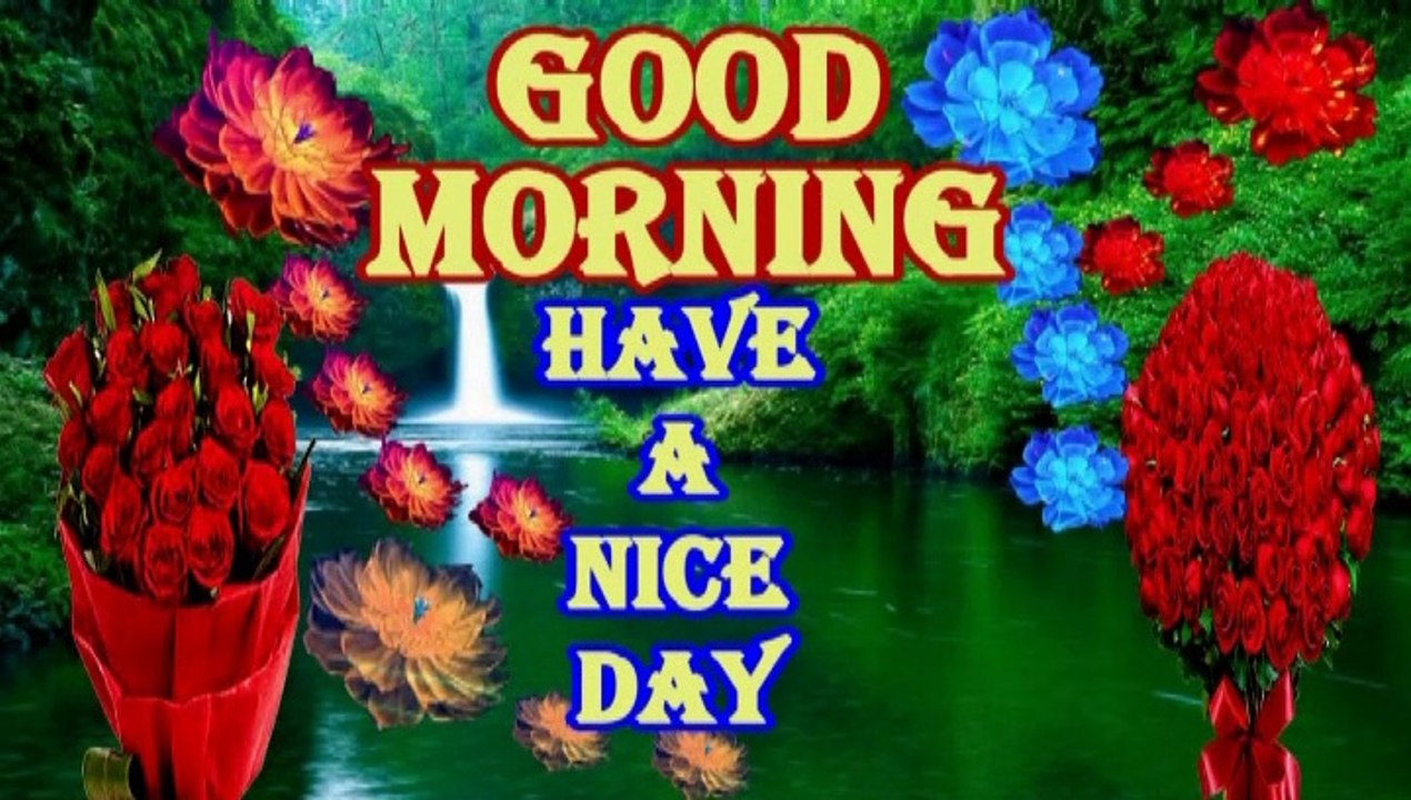 Good Morning Gif I good morning wishes | best good morning images, instagram dp photos, pictures | good morning videos | good morning status | gif