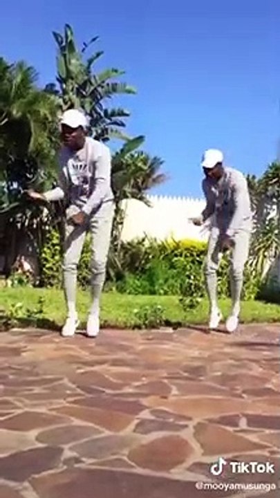 Bitch *Why You Walk Like That* Dance Challenge | Corvette Corvette Tiktok Dance Compilation