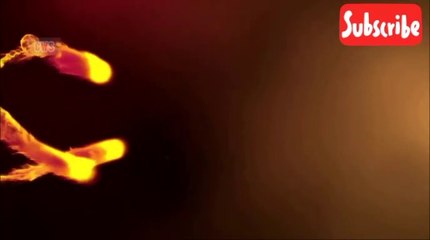 Sandeep lamichanne best IPL wickets | cricket with saurav