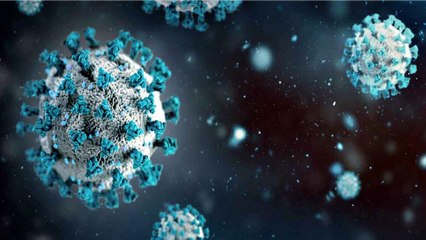 New 'Delta Plus' variant of Covid identified!