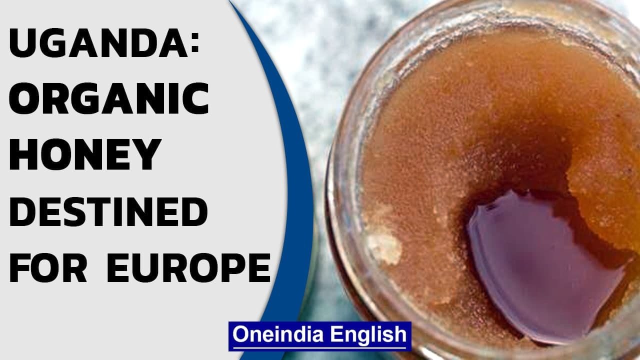 Ugandan farmers explore export opportunities in the European market| Honey | Oneindia News