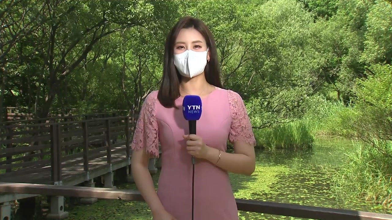 [날씨] 오늘 서쪽 맑고 더워...내일 흐리고 더위 주춤 / YTN