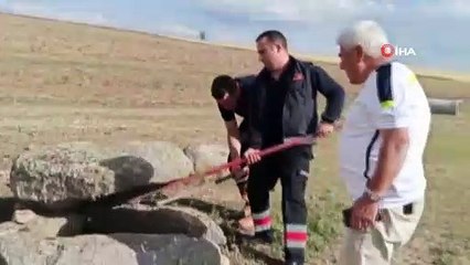 İtfaiye ekipleri tilkiyi kurtarma için seferber oldu