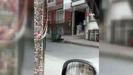 Yağmurdan ıslanan sokak köpeğini hem temizledi hem sevdi