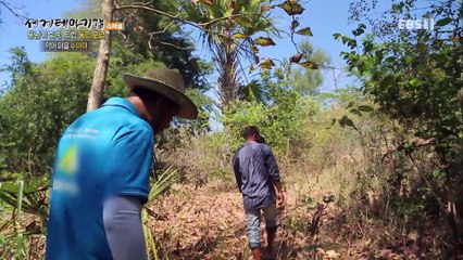 세계테마기행 - 동남아 힐링 트립- 낯선 매혹, 동티모르_#003