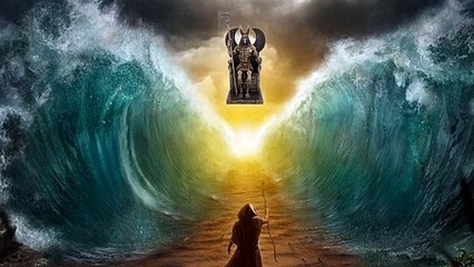 ENTREVISTA A UN ALINIGENA, VIDEO IV