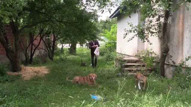 KASTAMONU - Kanala atılan görme engelli köpeğe treyler operatörü sahip çıktı