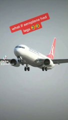 What if aeroplane had legs ?
