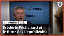 «Les Républicains n’ont pas de leader naturel», déplore Frédéric Péchenard (LR)