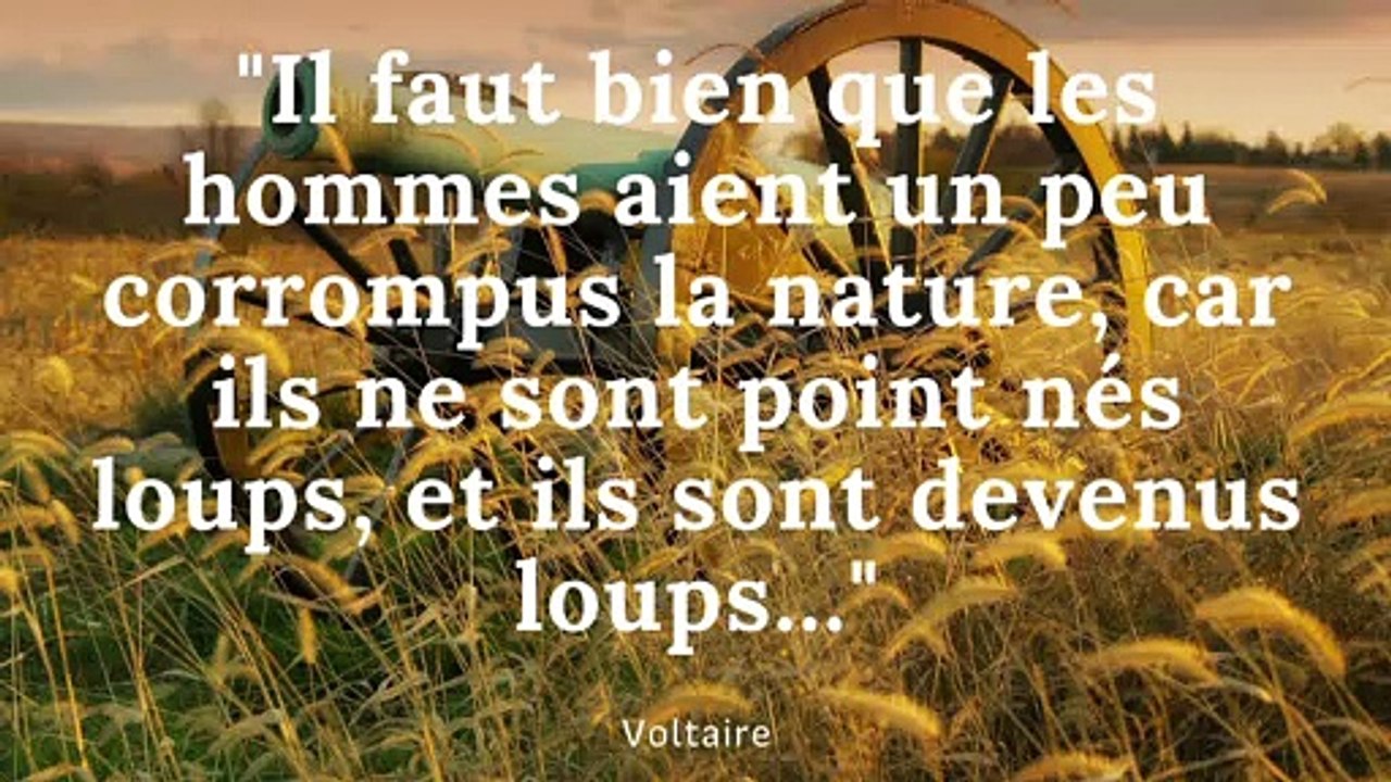 Voltaire fait débat au lycée Louis Geisler