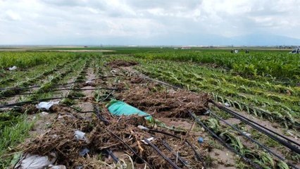 Sel baskınındaki azgın sular böyle görüntülendi