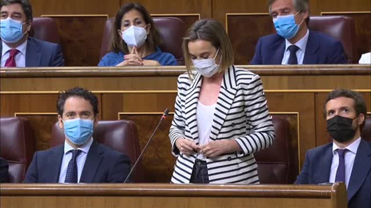 Gamarra asegura que el Gobierno se ha convertido en el "tonto útil" para los independentistas