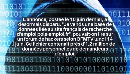Pôle emploi : les données personnelles d'un million de demandeurs d'emploi revendues sur Internet ?_IN