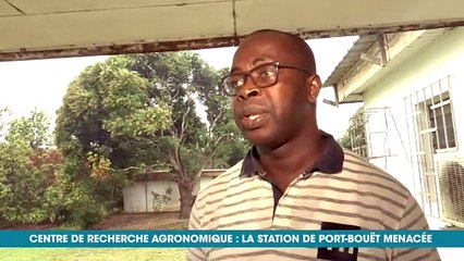 Eco Plus : Centre de recherche agronomique, la station de Port-bouet menacée