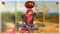 Jahday Pyar Tunja | Aamir Sindhi | Super Hit Sindhi Song | Sindhi Gaana