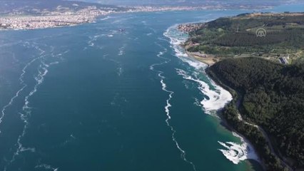 下载视频: ÇANAKKALE - Tarihi Gelibolu Yarımadası sahillerindeki müsilaj yoğunluğu havadan görüntülendi