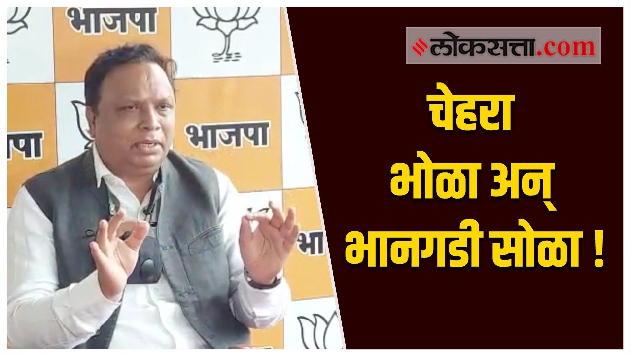 कांजुरमार्ग कारशेड प्रकरणी आशिष शेलार यांचा सरकारवर हल्ला