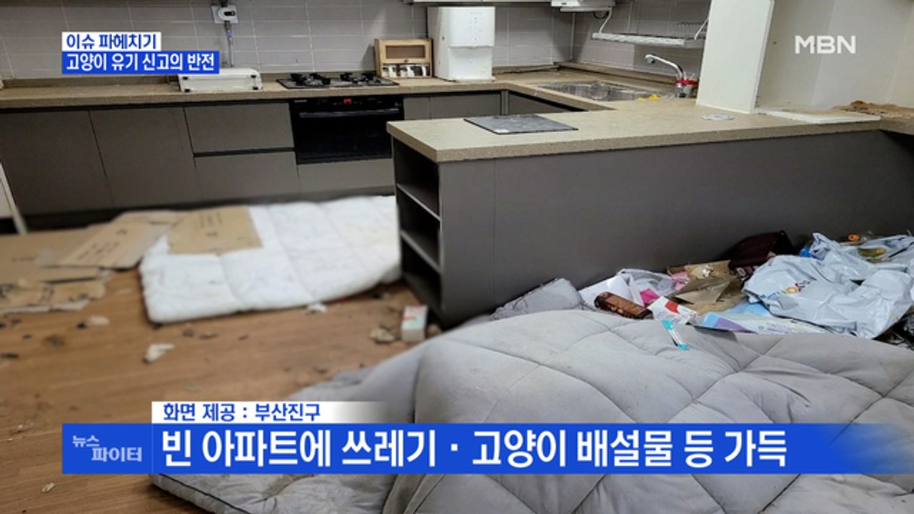 MBN 뉴스파이터-'고양이 14마리 유기' 신고의 반전