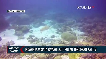 Menyaksikan Keindahan Pantai Eksotis dan Surga Bawah Laut di Pulau Maratua