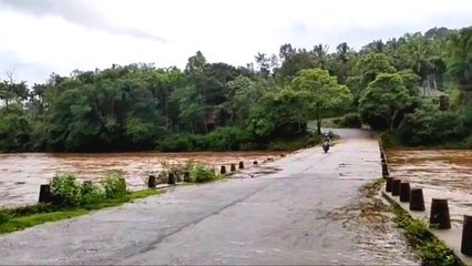 ಮಲೆನಾಡಿನಲ್ಲಿ ಧಾರಾಕಾರ ಮಳೆ ಮುಳುಗಡೆ ಭೀತಿಯಲ್ಲಿದೆ ಹೆಬ್ಬಾಳೆ ಸೇತುವೆ  | Oneindia Kannada