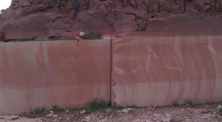 अयोध्या में राम मंदिर निर्माण में आने वाले राजस्थान के बंशी पहाड़पुर के पत्थर पर लगी रोक हटी, VIDEO