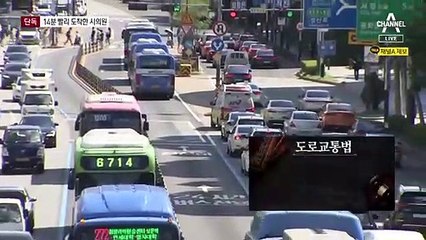 [단독]14분 빨리 도착한 시의원…하루 벌점 40점·범칙금 19만 원