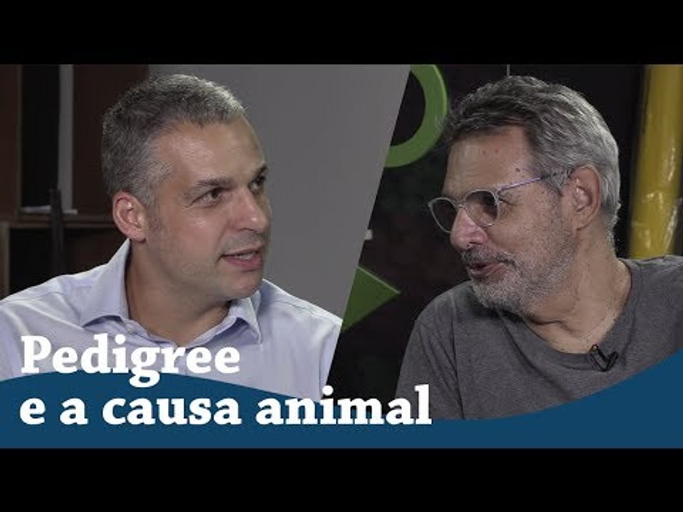 Como a Pedigree atua na causa animal | CAUSANDO entrevista