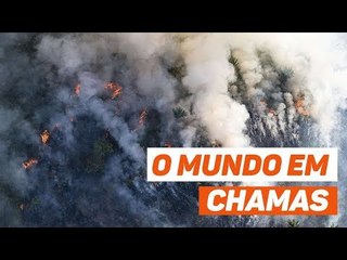 Entenda como o fogo na Amazônia virou uma crise internacional