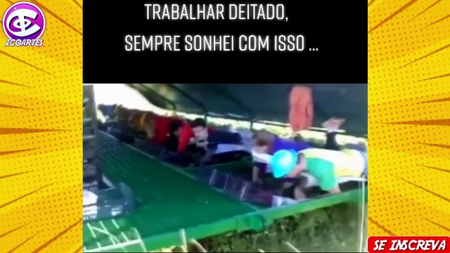Os Melhores Videos Engraçados Viralizou 30 Minutos de Tente Não Rir