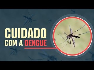 Brasil registra um salto nos casos de morte por dengue