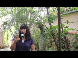 Maior Sarau do Mundo - Fernanda Beirão - A arte de perder, de Elizabeth Bishop