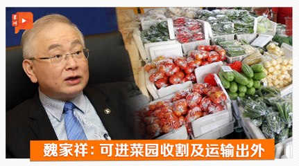 金马仑5区EMCO 魏家祥：农业可如常运作免菜价飙