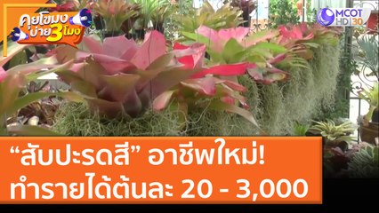 “สับปะรดสี” อาชีพใหม่! ทำรายได้ต้นละ 20 - 3,000 (16 มิ.ย. 64) คุยโขมงบ่าย 3 โมง