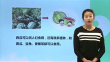 7我们的地球家园-《做大自然的孩子》|小学科学