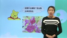 2植物——《观察一棵植物》|小学科学