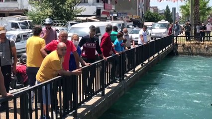 ADANA - Sulama kanalına giren iki kişiden biri kayboldu