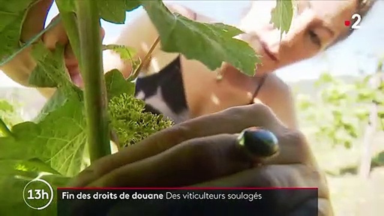 Vins : fin des droits de douane pour les exportations vers les États-Unis