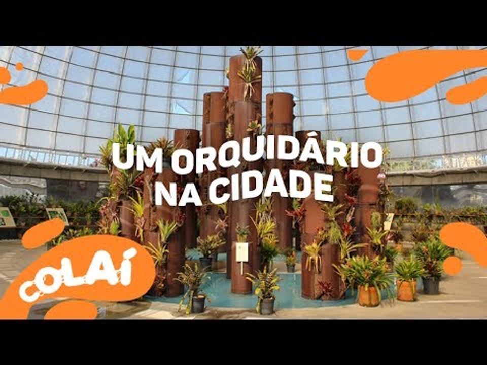 Orquidário Ruth Cardoso, um lugar onde é primavera o ano inteiro