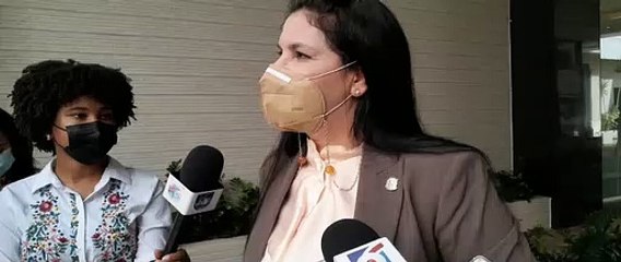 Diputada PRM niega bienes procedan del narcotráfico
