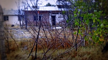 Encontraron un Billete de Lotería Ganador, pero Jamás Imaginaron hacia Dónde los Dirigía