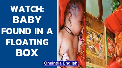 Uttar Pradesh: Baby girl found floating in a wooden box in Ganga | Watch | Oneindia News